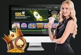 jilieco ပလက်ဖောင်း မြန်မာ ဂိမ်းကဏ္ဍများ Live Casino Slots ငါးပစ်ဂိမ်း